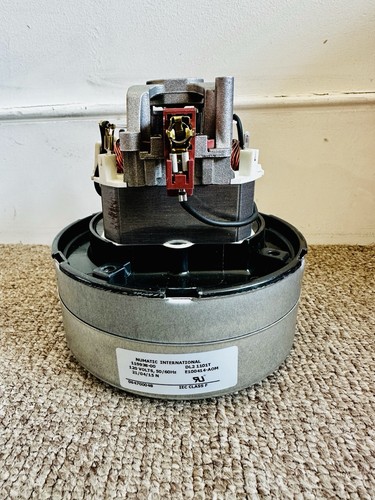 Genuine numatic international - numatic,